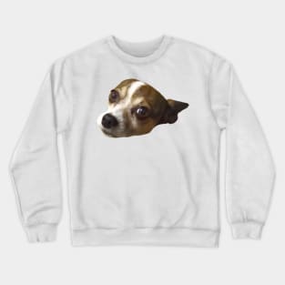 Chihuahua Head (she loves cheese) good dog for pets Crewneck Sweatshirt